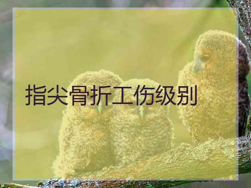 指尖骨折工伤级别