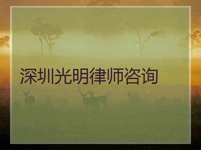 深圳光明律师咨询