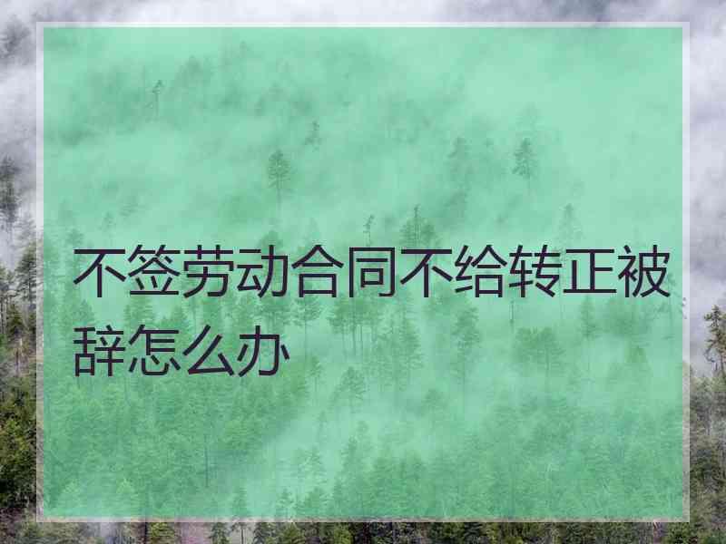 不签劳动合同不给转正被辞怎么办