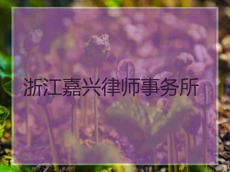 浙江嘉兴律师事务所