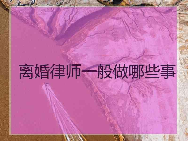 离婚律师一般做哪些事