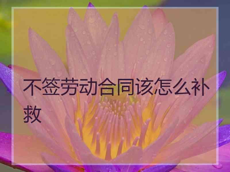 不签劳动合同该怎么补救