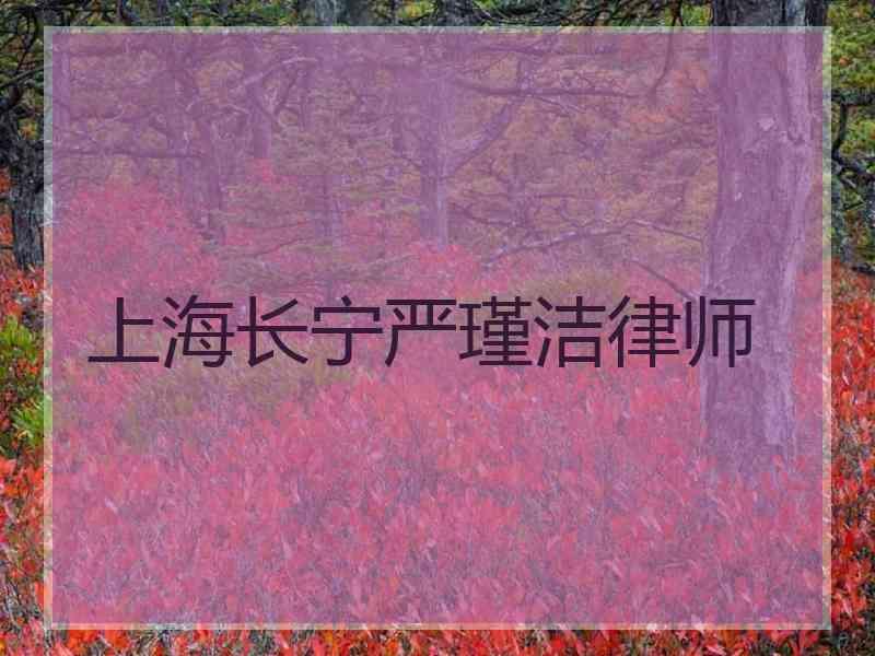 上海长宁严瑾洁律师