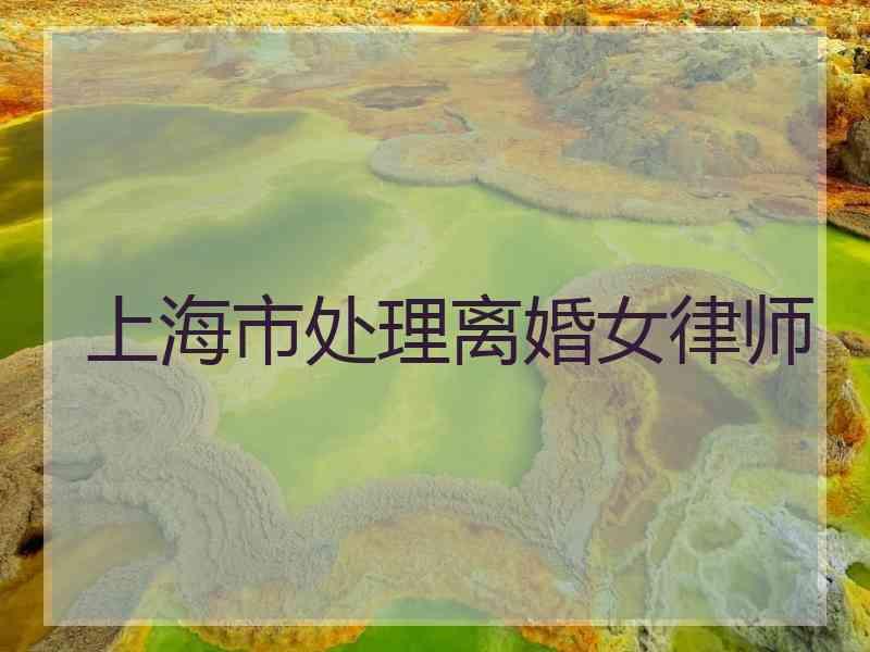 上海市处理离婚女律师