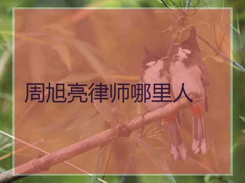 周旭亮律师哪里人