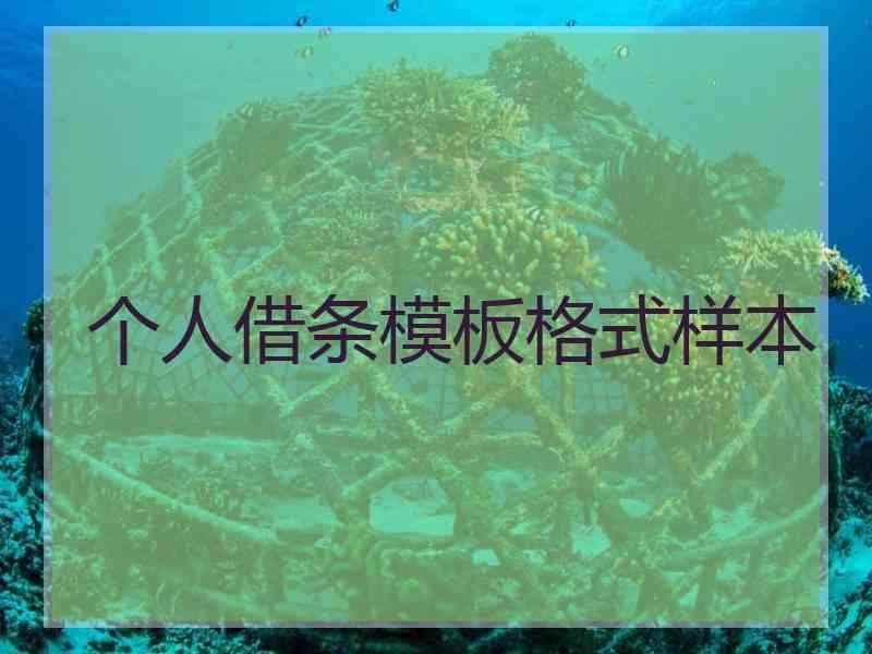 个人借条模板格式样本