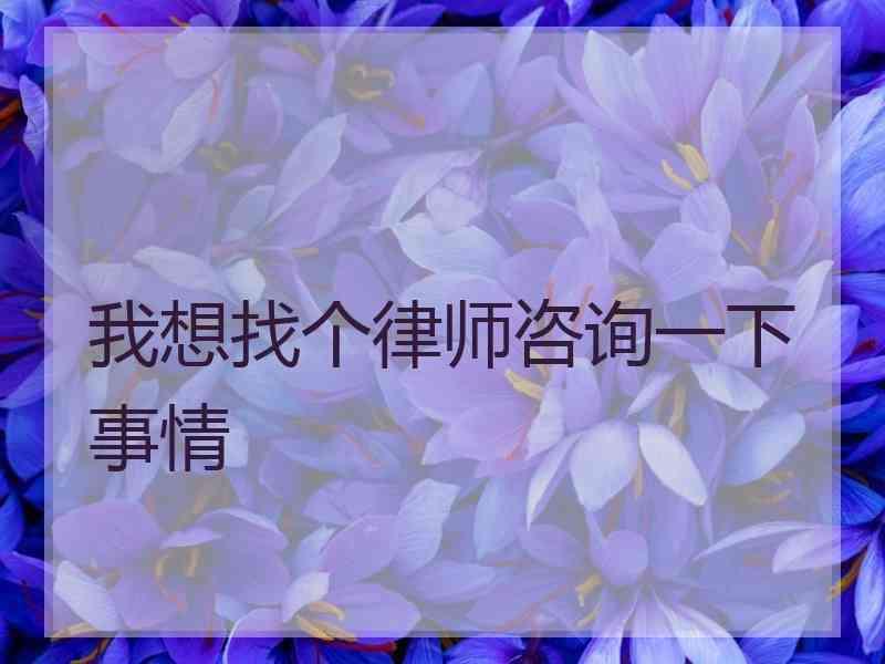 我想找个律师咨询一下事情