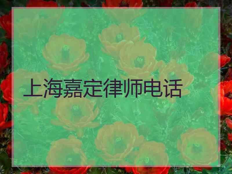 上海嘉定律师电话