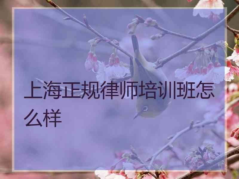 上海正规律师培训班怎么样