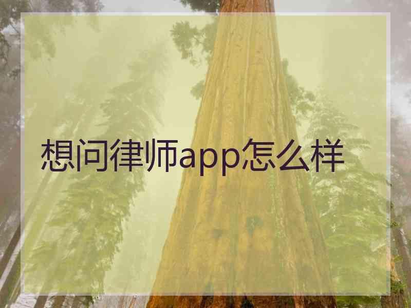 想问律师app怎么样