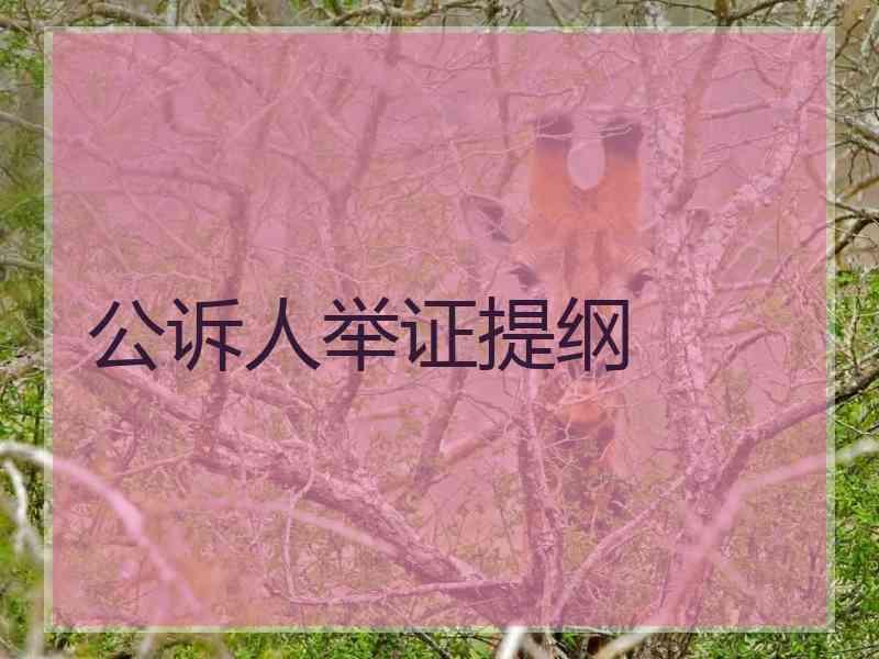 公诉人举证提纲