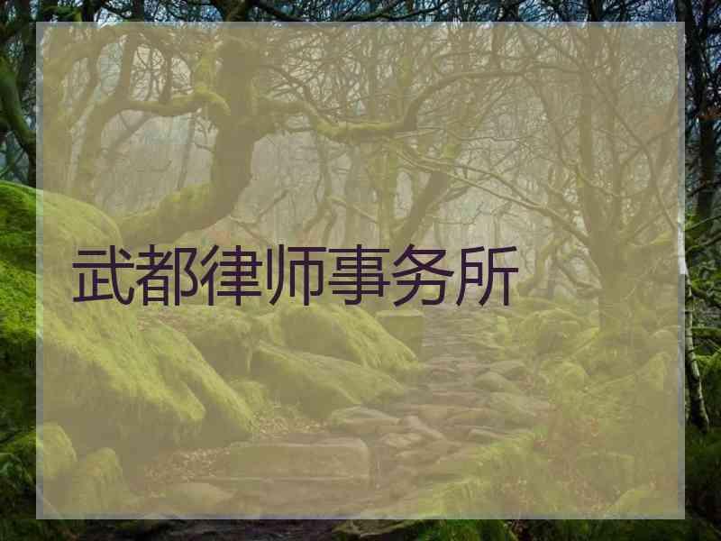 武都律师事务所
