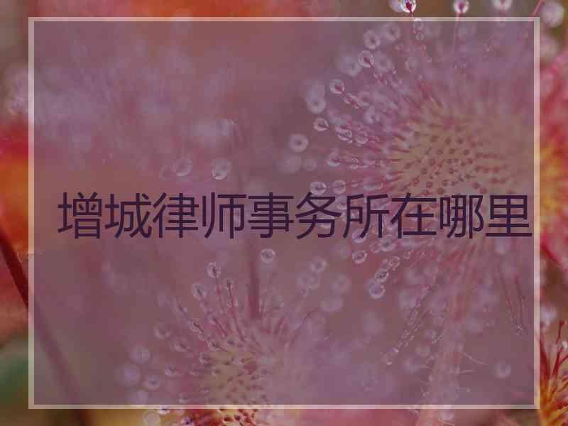 增城律师事务所在哪里