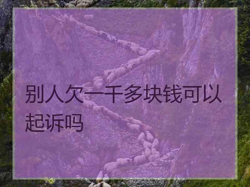 别人欠一千多块钱可以起诉吗