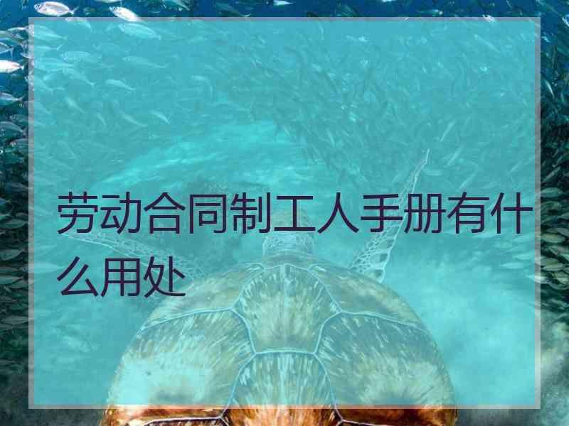 劳动合同制工人手册有什么用处