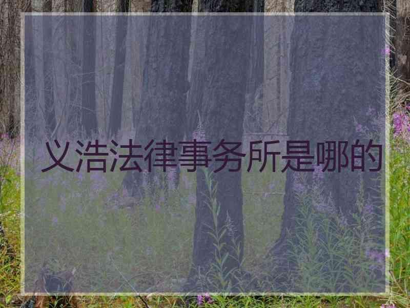 义浩法律事务所是哪的