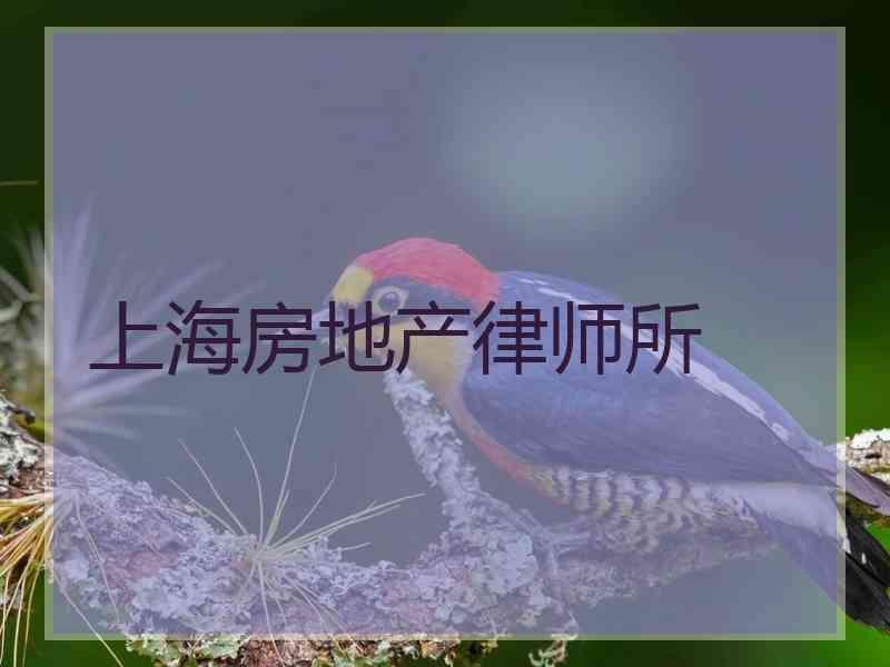 上海房地产律师所