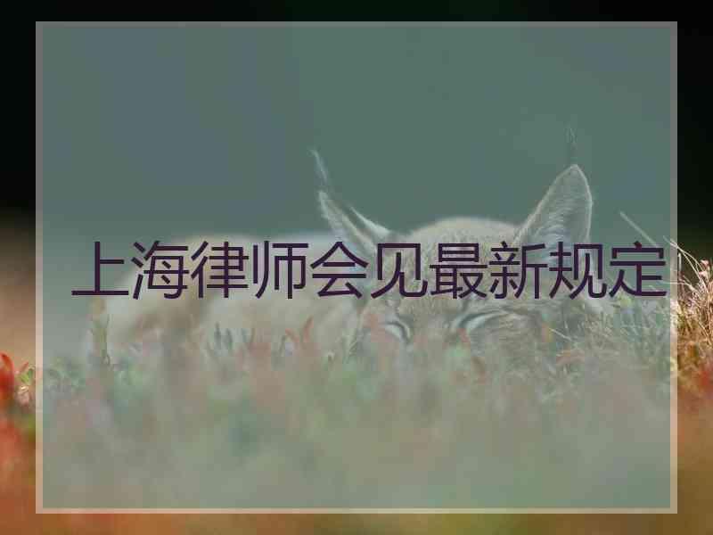 上海律师会见最新规定