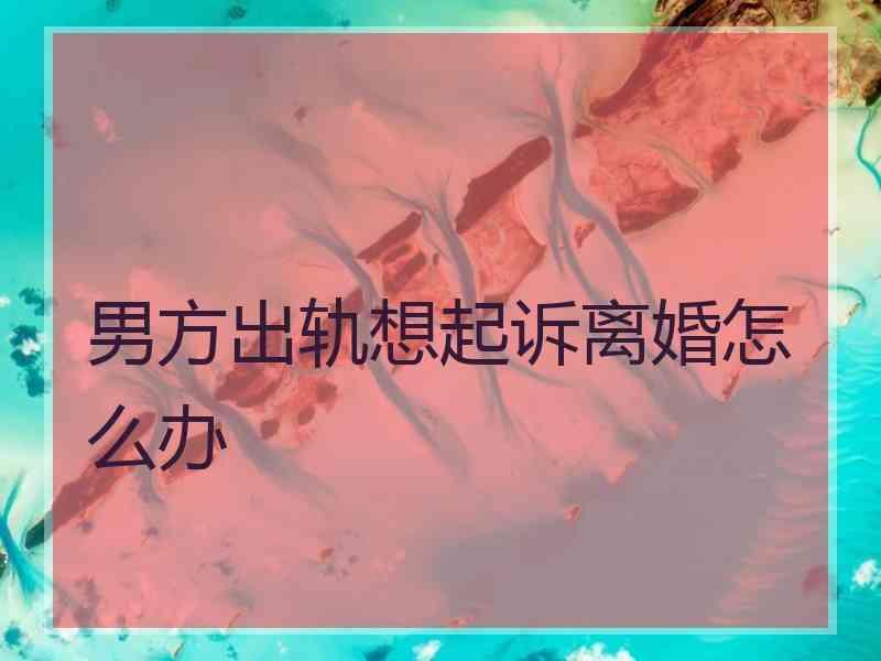 男方出轨想起诉离婚怎么办