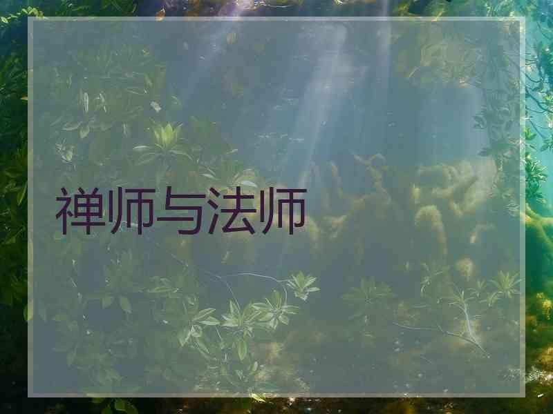 禅师与法师