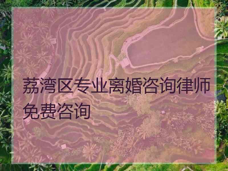 荔湾区专业离婚咨询律师免费咨询 荔湾区专业离婚咨询律师免费咨询