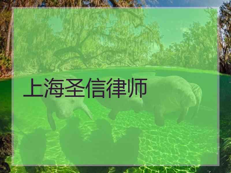 上海圣信律师