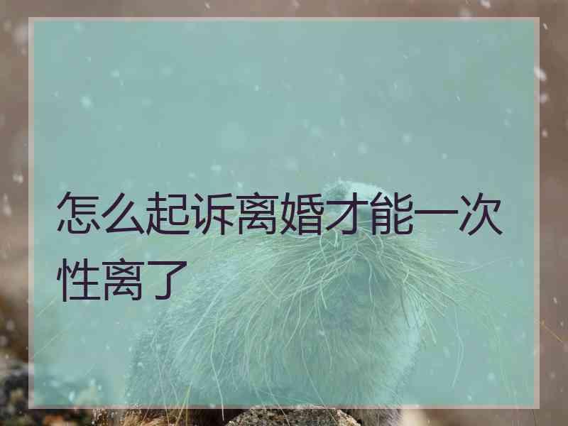 怎么起诉离婚才能一次性离了