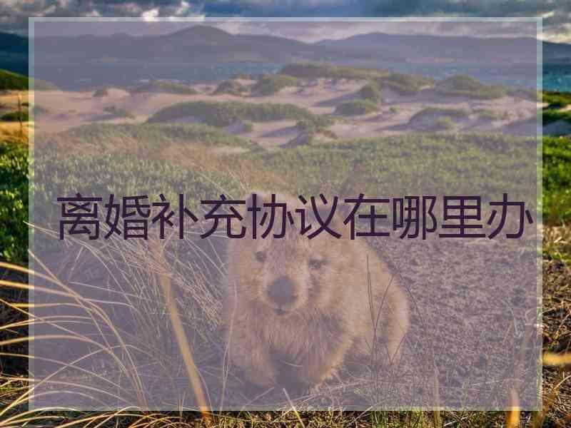 离婚补充协议在哪里办