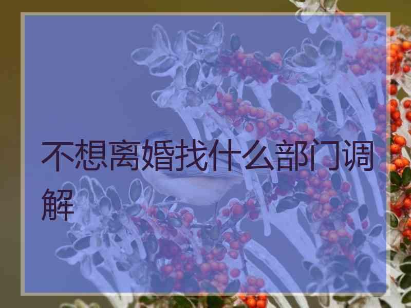 不想离婚找什么部门调解