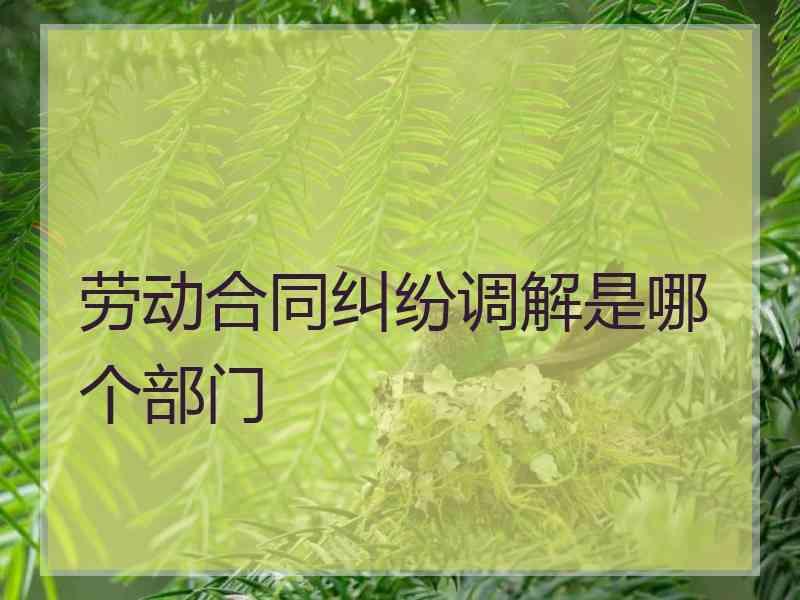 劳动合同纠纷调解是哪个部门