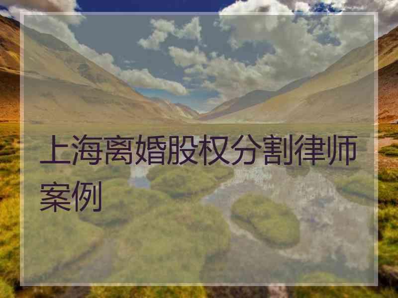 上海离婚股权分割律师案例