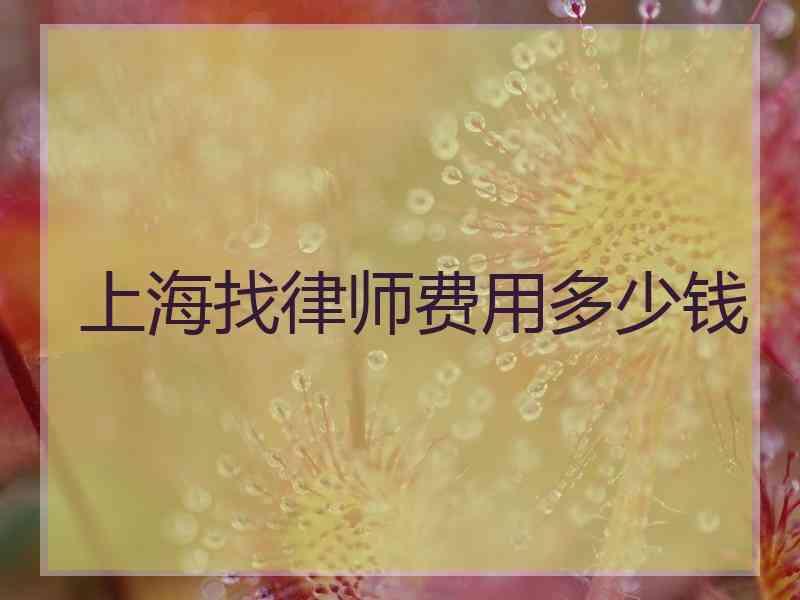 上海找律师费用多少钱