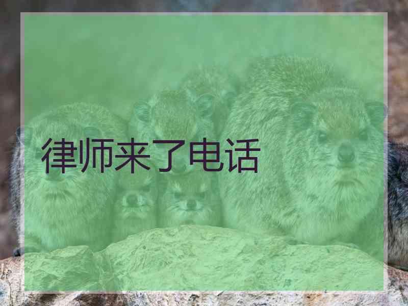 律师来了电话