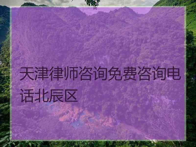 天津律师咨询免费咨询电话北辰区