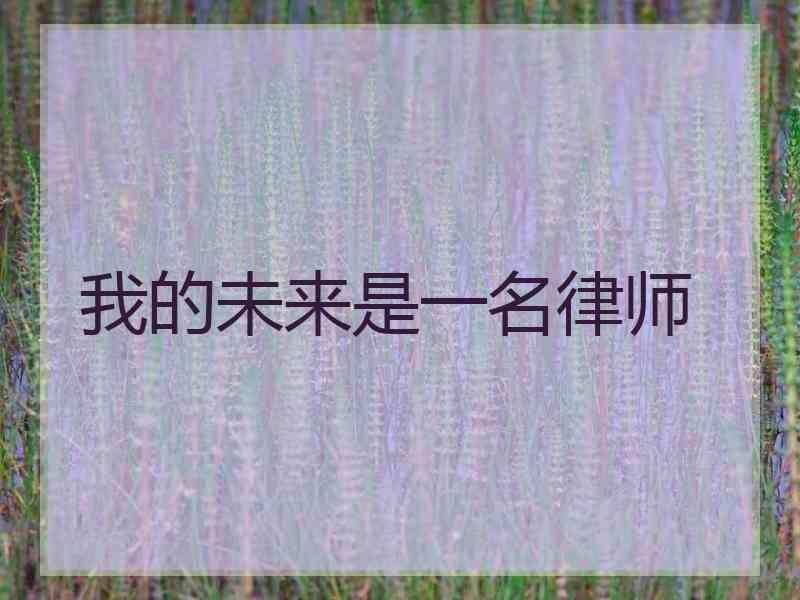 我的未来是一名律师