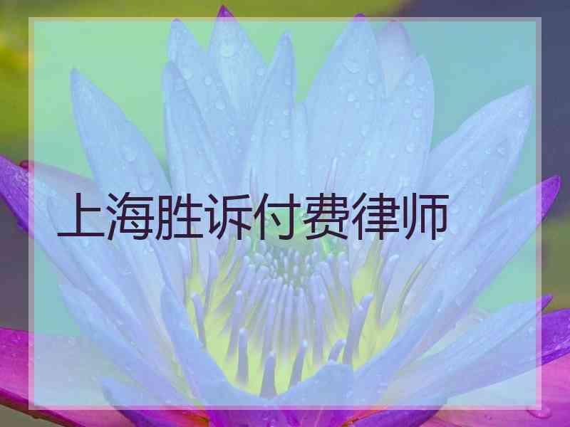 上海胜诉付费律师