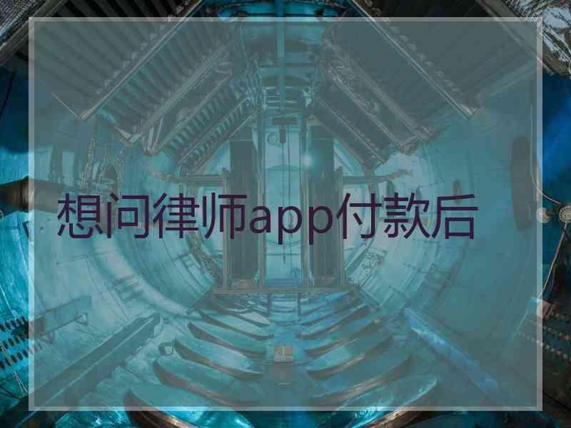 想问律师app付款后