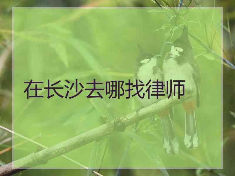 在长沙去哪找律师