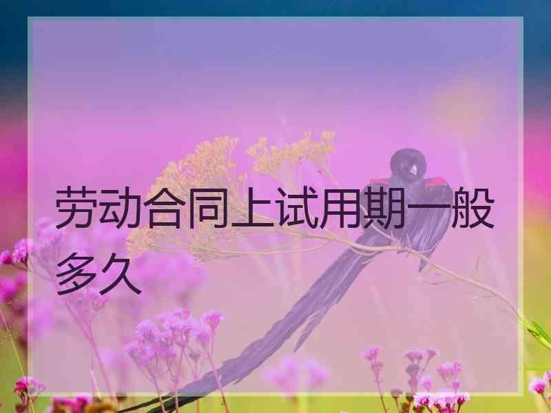 劳动合同上试用期一般多久