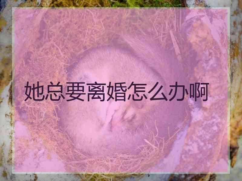 她总要离婚怎么办啊