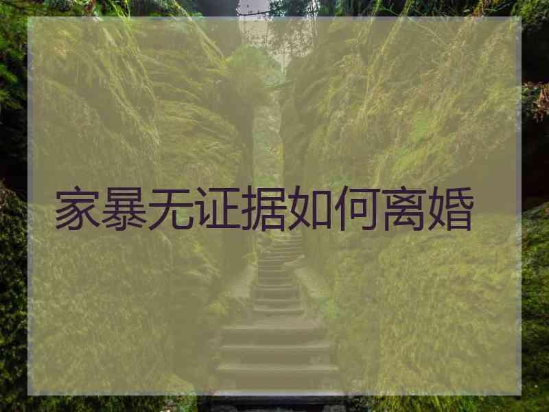 家暴无证据如何离婚