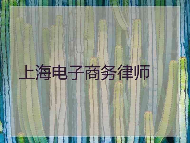 上海电子商务律师