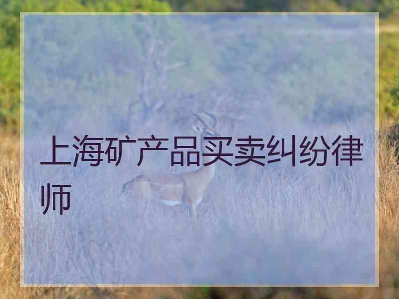 上海矿产品买卖纠纷律师