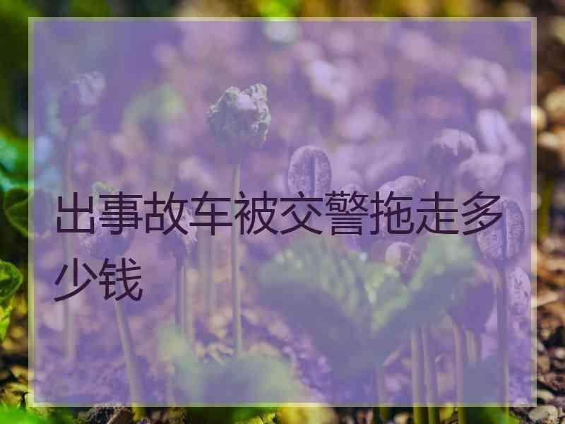 出事故车被交警拖走多少钱