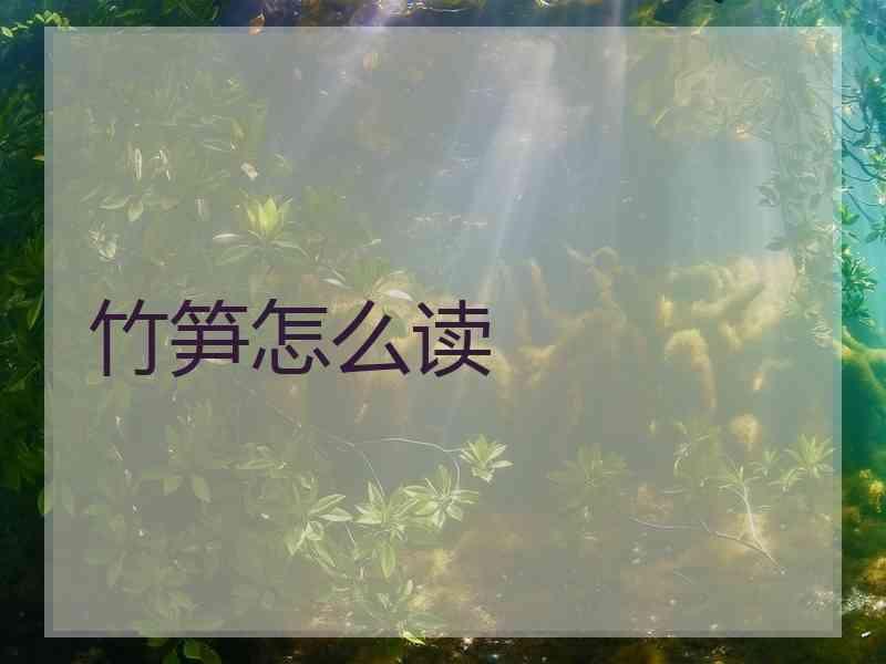 竹笋怎么读