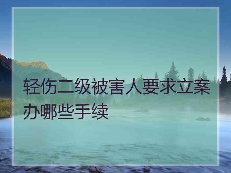 轻伤二级被害人要求立案办哪些手续