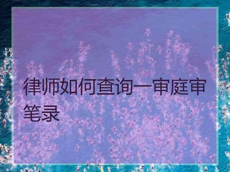 律师如何查询一审庭审笔录