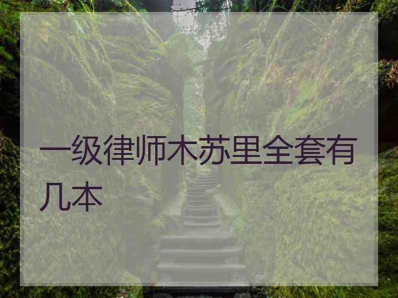 一级律师木苏里全套有几本