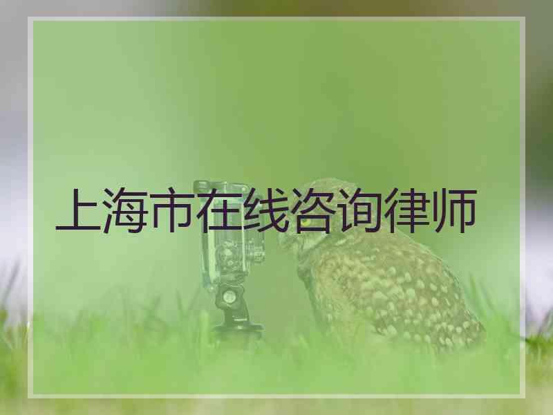 上海市在线咨询律师