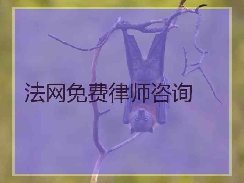 法网免费律师咨询